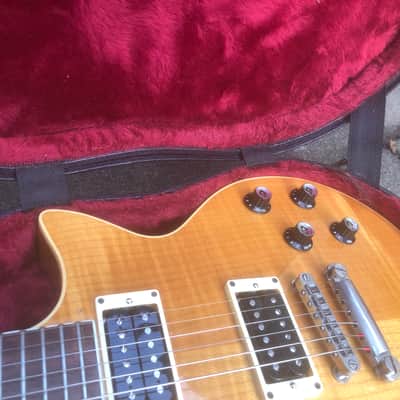 Guild Bluesbird image 9