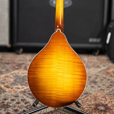 Eastman MD605-GB A-Style Acoustic/Electric Mandolin - Gold Burst with Hardshell Case image 7
