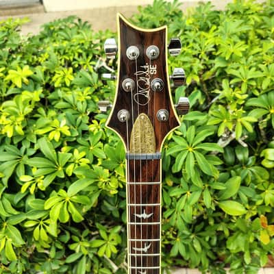 PRS SE Custom 24 Ziricote Electric Guitar 2018 image 2