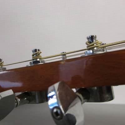 Asheville Single Cutaway Acoustic Guitar image 7