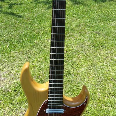 Very Rare_Cort G260 Swamp Ash Body with Hot Rails Pickups, 5-Way Switch, Coil Split & New Gig bag image 4