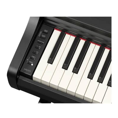 Yamaha Arius YDP-166B Digital Home Piano with Bench (Black Walnut) image 4