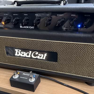 Bad Cat Black Cat 2-Channel 20-Watt Amp Head image 3