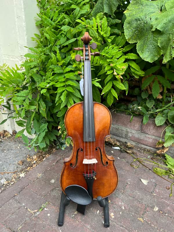 Joseph Guarnerius Fecit Cremonae 4/4 violin 1850-1900 - Natural