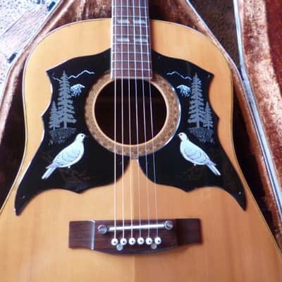 Immagine Ensenada  wg 66 Dreadnaught folk 1970 natural - 2