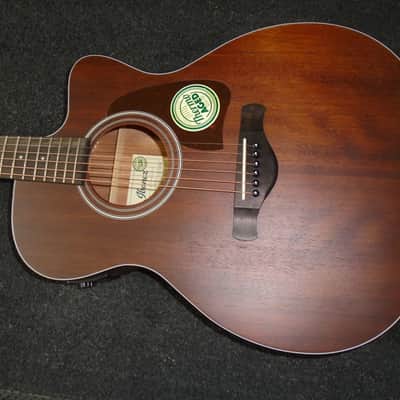 Ibanez EW20ASENT1202 With Hard Case | Reverb Canada