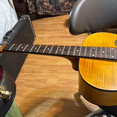 Epiphone Dobro Hound dog deluxe round neck resonator image 4