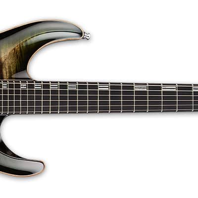 ESP Horizon FR CTM Burled Maple Electric Guitar in See Thru Black Burst image 4