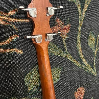 Vega Senator (Plectrum) 1924 (per serial #77695) image 8