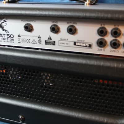 Bad Cat Hot Cat 50 Mod Shop 2026 image 4