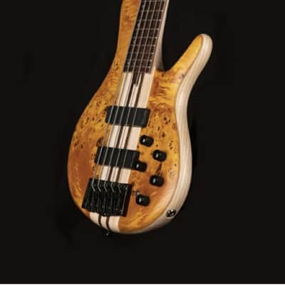 Cort A5PLUSSCAOP Artisan Series A5 Plus SC Bass Guitar. Amber Open Pore image 2