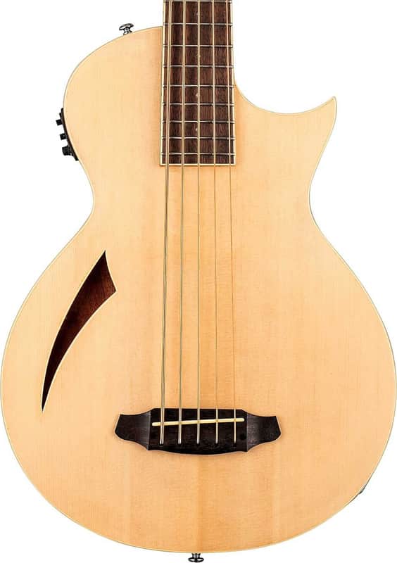 ESP LTD TL-5 Thinline 5-String Acoustic-Electric Bass Guitar, Rosewood Fingerboard image 1