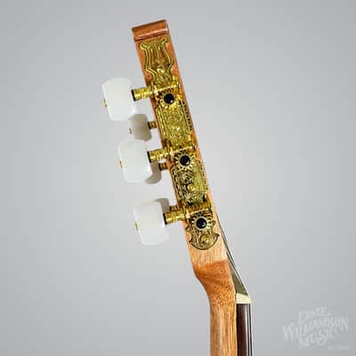 Cordoba C1M 1/2 Size Protege Guitar image 8