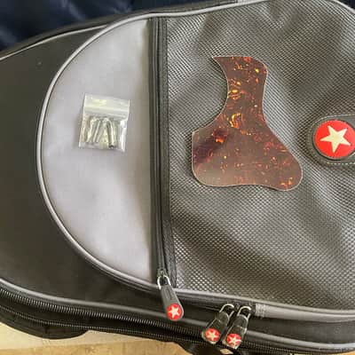 Epiphone Limited Edition EL-00 Pro V/S image 15