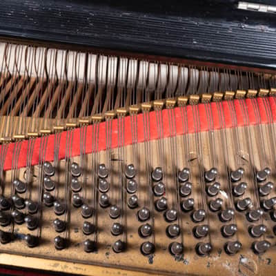 Steinway And Sons B Piano 1905 - Mahogany image 11