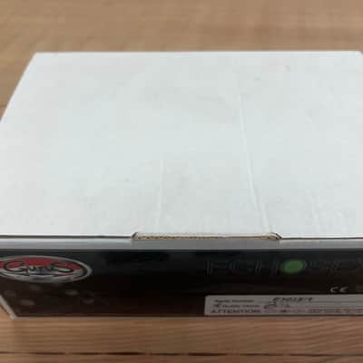 Early Gurus Echosex 2 Echorec Replica image 10