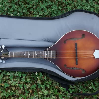 The Loar LM-110 Mandolin image 12