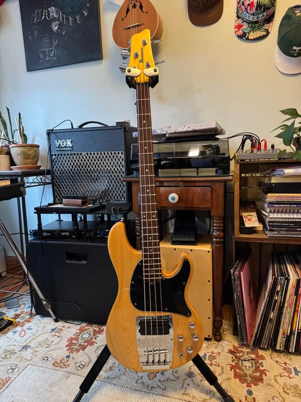 Ibanez ATK310 image 1