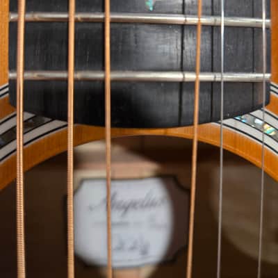 PRS SE Angelus A50EVS Acoustic-Electric w/ Hard Shell Case image 9