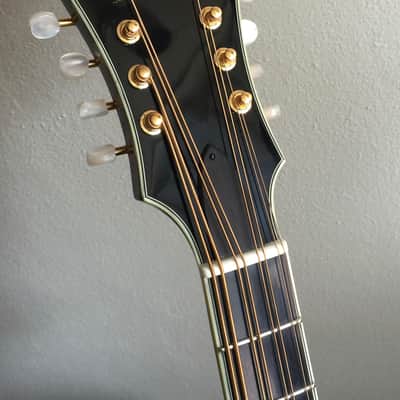 Eastman MDC805 2017 Classic Mandocello Flawless Condition Beautiful! image 6