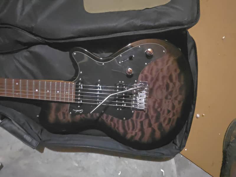 Godin SD-22 2010's - Gorgeous Purple Wavy Top image 1