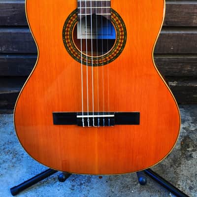 Francisco Manuel Diaz Classic guitar image 2