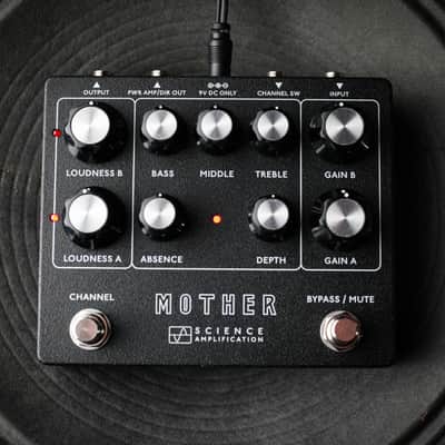 Electronic Audio Experiments / Science Amplification Mother Preamp *Authorized Dealer* FREE Shipping! image 6