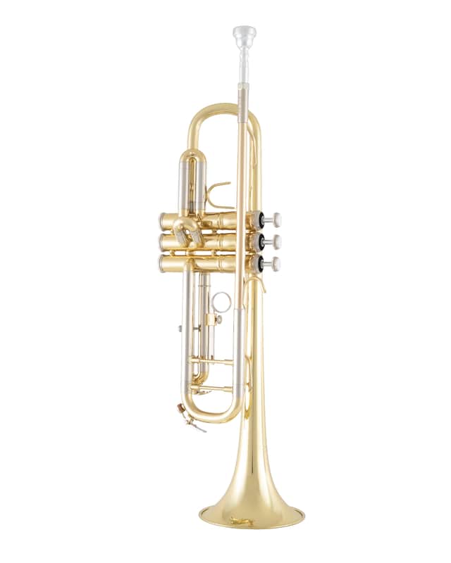 Immagine Bach BTR302 Student Trumpet - Clear Lacquer - 1