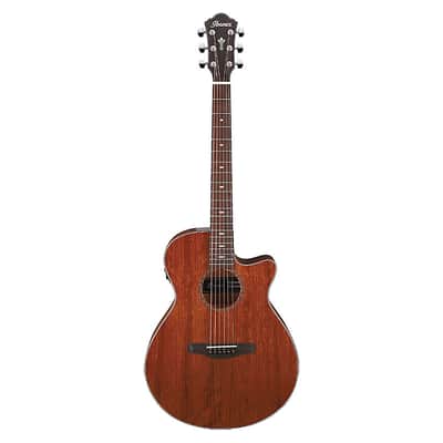 Ibanez AEG220 Grand Concert