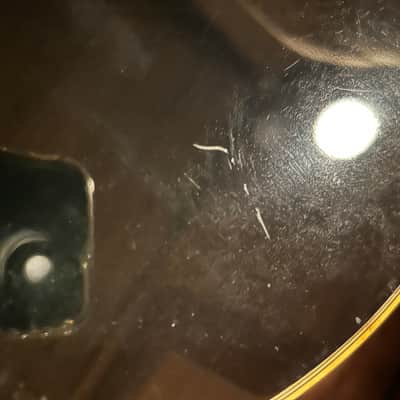 Gibson Dove 1975 - 1988 - Ebony image 8
