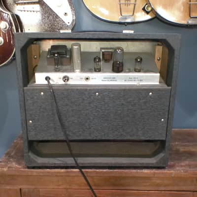 Danelectro DM10 Combo Tube Amp image 3