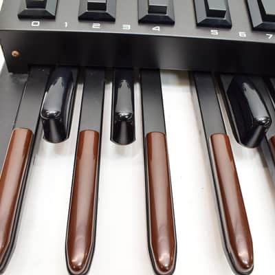 Roland PK-5 Dynamic MIDI Pedal Controller Pedalboard image 10