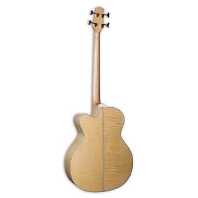 Takamine GB72CE G Series Acoustic Bass - Rosewood Fingerboard, Natural image 6