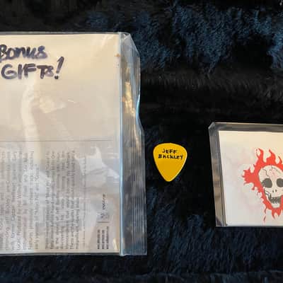 1983 Fender Blonde Telecaster - Jeff Buckley replica image 10