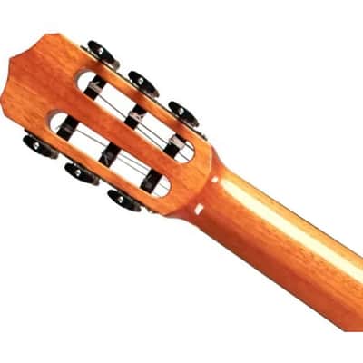 Cordoba Fusion 12 Cutaway A/E Nylon String Guitar - Rose II - B-Stock image 5
