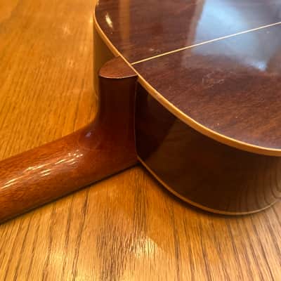 1978 Giannini AWN-21 - Natural Brazilian Rosewood/Jacaranda image 12