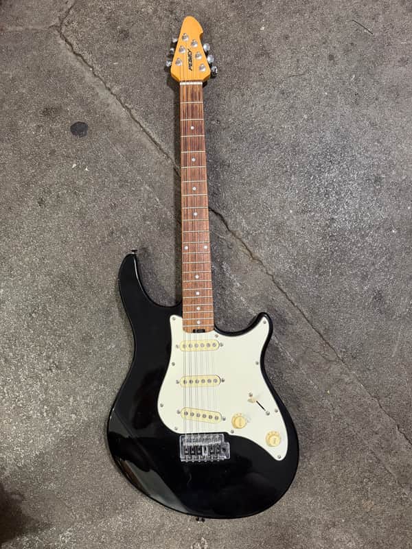 Peavey Raptor Custom