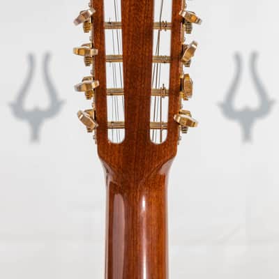 Daion Year Series '78 Heritage / 12 String With Rare Factory Transducer image 11