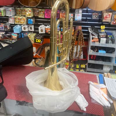 Fever Alto Horn Charcheta 2024 - Gold laquer image 1