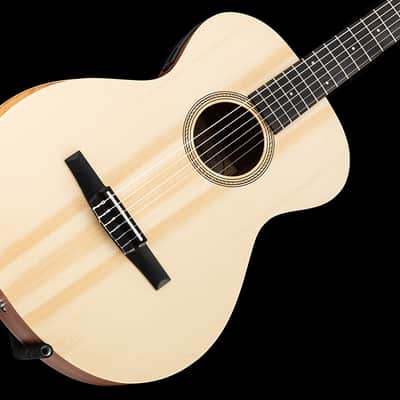 Taylor Academy 12e-N Nylon image 1