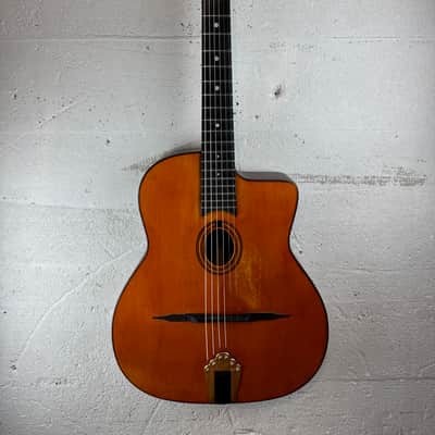 Altamira M30 with gig bag image 2