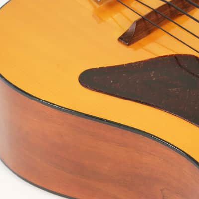 1980 EKO BA/4 Acoustic Fretless Bass Guitar Vintage Hofner Hagstrom image 6