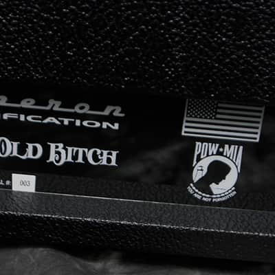Cameron Amplification  Old Bitch image 4