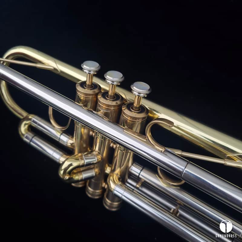 Henri Selmer Paris CONCEPT TTM Twin Tube trumpet case mouthiece gamonbrass image 1