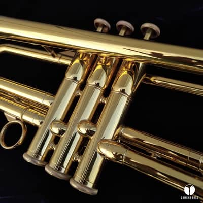 Jerome Callet SIMA by Kanstul USA GOLD LACQUER trumpet gamonbrass image 14