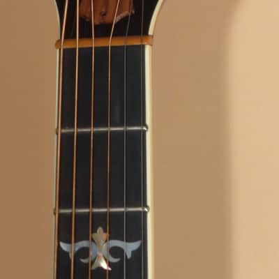 1998 Taylor W-10 image 6