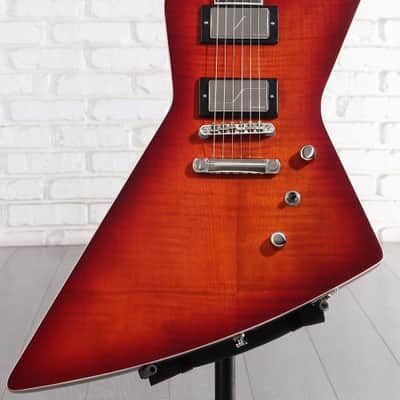 Epiphone Extura Prophecy Electric Guitar - Aged Bengal Tiger Burst (ExtPropABTd1) image 6
