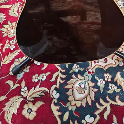 Gibson B-25  - Natural image 3