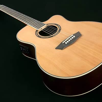 Washburn AG70CEK Apprentice Series Mahogany Neck 6-String Acoustic-Electric Guitar w/Hard Case image 2