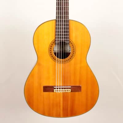 Yamaha GD-10 Grand Concert Classical Guitar, Solid Spruce, IRW image 2